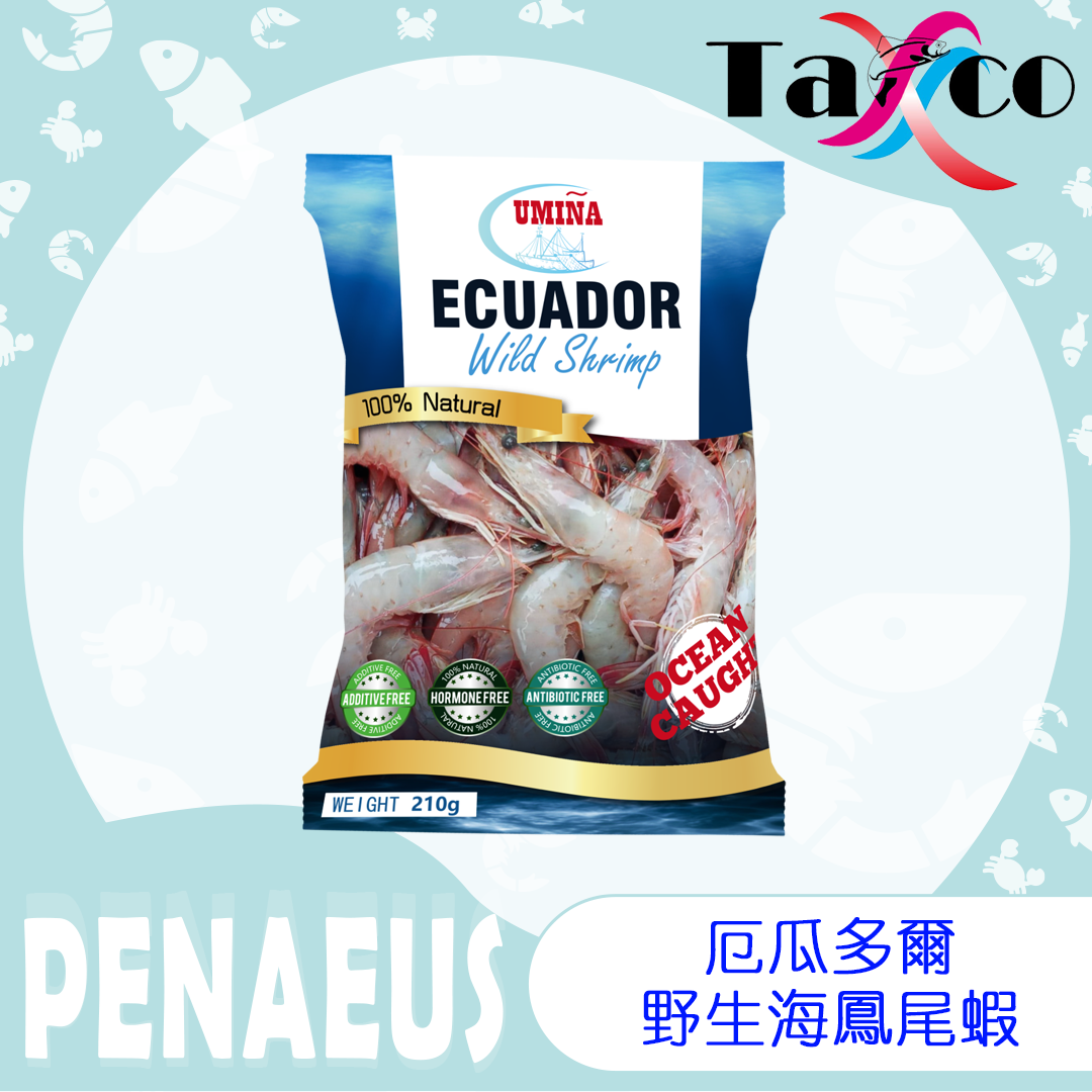 厄瓜多爾野生鳳尾棕蝦 (210克)